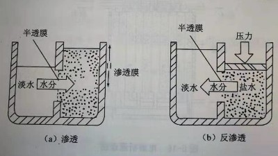 滲透與反滲透對比